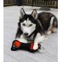 Pets First NFL Cleveland Browns Football Dental Tough Dog TUG Bone Toy with Built-in Squeaker Attached to a Safe Rubber Teething Toothbrush PET Toy, Team Color, 14 x 5 (CLE-3310)