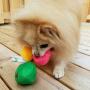 KOOLTAIL Dog Squeaky Toys Plush Balls 6 Pack - Small Dog Toys Cute Soft Interactive Chew Toy for Puppy Small Medium Dogs & Cats