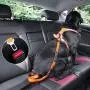 JHMY 3-in-1 Dog Car Seatbelt, No Pull Shock Absorbing Pet Leash with Car Safety Buckle, Elastic Dog Lead with Double Handles, Reflective Pet Seat Belts for Vehicle, Car Harness for Dogs JHMY 3-in-1 Dog Car Seatbelt, No Pull Shock Absorbing Pet Leash with Car Safety Buckle, Elastic Dog Lead with Double Handles, Reflective Pet Seat Belts for Vehicle, Car Harness for Dogs