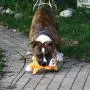 Smart Pet Love Tender-Tuffs - Comfort Smart Pet Love Tender-Tuffs - Comfort