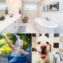 Pet Faucet Sprayer,Sink Spray Hose Portable Shampoo Sprayer,Shower Head with Slip On Spout Bath and Shampoo Spray,Faucet to Shower Converter,Dog Shower Pet Bath Handheld Showerhead,White
