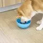 Alyster Slow Feeder Dog and Cat Bowl Preventing Choking Anxiety Relief Healthy Design Bowl for Dog Pet Alyster Slow Feeder Dog and Cat Bowl Preventing Choking Anxiety Relief Healthy Design Bowl for Dog Pet
