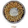 Neater Pet Brands Slow Feed Bowl Stainless Steel - Standard Bowls Fit Elevated Feeders