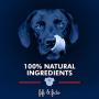 Fifi and Fido Natural Pet Shampoo 16 ounces.