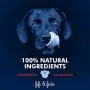 Fifi and Fido Natural Pet Shampoo 16 ounces. Fifi and Fido Natural Pet Shampoo 16 ounces.