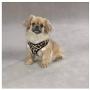 Zack & Zoey Zebra or Leopard Print Soft Plush Dog Harness Durable Reliable Walk Safety