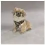 Zack & Zoey Zebra or Leopard Print Soft Plush Dog Harness Durable Reliable Walk Safety Zack & Zoey Zebra or Leopard Print Soft Plush Dog Harness Durable Reliable Walk Safety