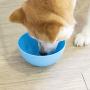 Alyster Slow Feeder Dog and Cat Bowl Preventing Choking Anxiety Relief Healthy Design Bowl for Dog Pet