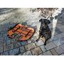 Singing Rock Laika Dog Harness