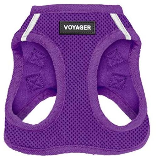 Best Pet Supplies Voyager Step-in Air Dog Harness - All Weather Mesh, Step in Vest Harness for Small and Medium Dogs, Purple (Matching Trim), M (Chest: 16-18'') (207-PPW-M)