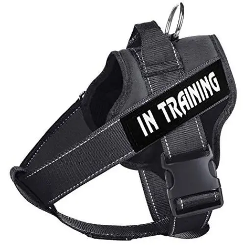 WOCUME Dog Harness No Pull Pet Vest Harness Fixed Adjustable Training Vest with Handle, Dog Vest 3M Reflective Walking Harness for Large Dogs Easy Control Harness WOCUME Dog Harness No Pull Pet Vest Harness Fixed Adjustable Training Vest with Handle, Dog Vest 3M Reflective Walking Harness for Large Dogs Easy Control Harness