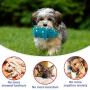 Lorfancy Dog Squeaky Chew Toys for Aggressive Chewers Large Breed Pig Interactive Rubber Funny Cute Soft Food Grade Medium Small Pet Puppy Toy
