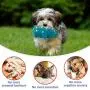 Lorfancy Dog Squeaky Chew Toys for Aggressive Chewers Large Breed Pig Interactive Rubber Funny Cute Soft Food Grade Medium Small Pet Puppy Toy Lorfancy Dog Squeaky Chew Toys for Aggressive Chewers Large Breed Pig Interactive Rubber Funny Cute Soft Food Grade Medium Small Pet Puppy Toy