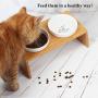 Lollimeow Pet Elevated Dog and Cat Wooden Rack Pet Feeder, Raised Stand Comes with Two Ceramic Bowls