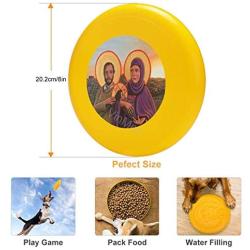 Pet Frisbee Flying Disc Dog Toy - Multifunction Refugees The Holy Family Kelly Latimore