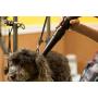 Cut drying time and groom your pets with the Metro Vac Air Force Master Blaster - Model MB-3