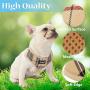 Soft Mesh Dog Harness Pet Puppy Comfort Padded Vest No Pull Harnesses