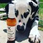 Warren London Premium Dog Sunscreen with Natural Aloe Vera Moisturizer - 4 oz Spray Bottle