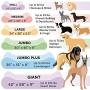 Furhaven Pet - Plush Ergonomic Orthopedic Foam Mattress Dog Bed, Round Snuggery Hooded Dog Bed, and ThermaNAP Self-Warming Quilted Cat Bed Pad for Dogs and Cats - Multiple Styles, Sizes, and Colors