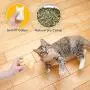 Pet Soft Catnip Cat Toys – Catnip Toys for Indoor Cats, Stuffed Chew Bite Catnip Teething Toy Set for Kitten Pet Soft Catnip Cat Toys – Catnip Toys for Indoor Cats, Stuffed Chew Bite Catnip Teething Toy Set for Kitten