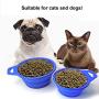 BYOMIGY 2 PCS Foldable Food Bowl Dog Cat Portable Feeding Collapsible Dog Bowl Silicone Bowl Pet Interactive Feeder Pet Bowl Dogs Toy Dog Flying Pie BPA Free for Travel Hiking Camping Blue and Gray