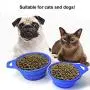 BYOMIGY 2 PCS Foldable Food Bowl Dog Cat Portable Feeding Collapsible Dog Bowl Silicone Bowl Pet Interactive Feeder Pet Bowl Dogs Toy Dog Flying Pie BPA Free for Travel Hiking Camping Blue and Gray BYOMIGY 2 PCS Foldable Food Bowl Dog Cat Portable Feeding Collapsible Dog Bowl Silicone Bowl Pet Interactive Feeder Pet Bowl Dogs Toy Dog Flying Pie BPA Free for Travel Hiking Camping Blue and Gray