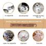 IETANG Cat Treat Chew Stick Toys,Sticks Organic Natural Plant Healthy Snacks Teeth Cleaning Bite Sticks, Kittens Cleaning Teeth Molar Tools, Cat Silvervine Sticks Value Set for Pets