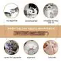 IETANG Cat Treat Chew Stick Toys,Sticks Organic Natural Plant Healthy Snacks Teeth Cleaning Bite Sticks, Kittens Cleaning Teeth Molar Tools, Cat Silvervine Sticks Value Set for Pets