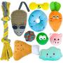 SCHITEC Squeaky Dog Toy Set, [10 Pack] Latex Squeak Toys & Stuffed Plush Squeaker Toys & Rope Chew Toys for Puppy Small Pet Dogs Interactive Fetch Teething