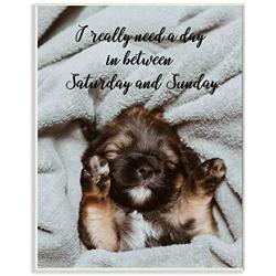 Stupell Industries Three Day Weekend Phrase Funny Puppy Pet Humor, Designed by Ziwei Li Art, 10 x 15, Wall Plaque