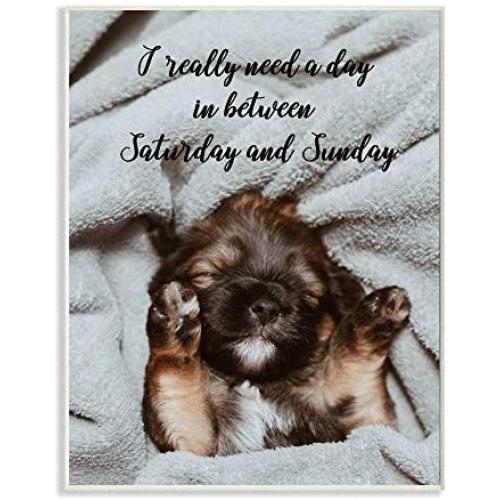 Stupell Industries Three Day Weekend Phrase Funny Puppy Pet Humor, Designed by Ziwei Li Art, 13 x 19, Wall Plaque