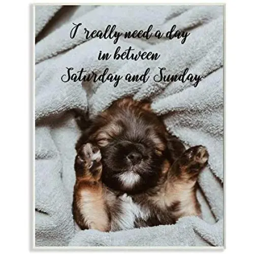 Stupell Industries Three Day Weekend Phrase Funny Puppy Pet Humor, Designed by Ziwei Li Art, 10 x 15, Wall Plaque Stupell Industries Three Day Weekend Phrase Funny Puppy Pet Humor, Designed by Ziwei Li Art, 10 x 15, Wall Plaque