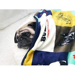 Leowow Pet Mat Dog Cat Bed Coral Velvet Pet Blanket Dog Cat Blanket-French Bulldog Pattern