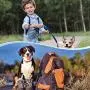 PuppyDoggy Waste Bag Carrier Dog Poop Bag Holder Handy and Easy Use Doggy Leash Bag Carrier for Leash Dispenser Accessories (4 Pack)