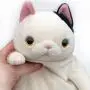 Sinda Global Has The cat Plush Black (M) Sinda Global Has The cat Plush Black (M)