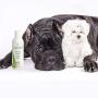 COAT DEFENSE CD Clean Pet Shampoo from All-Natural, Hypoallergenic & Concentrated | Aloe Based - Soothes and Relieves Itchy, Dry and Inflamed Skin | Safe for Everyone | 8 Ounces | Made in USA COAT DEFENSE CD Clean Pet Shampoo from All-Natural, Hypoallergenic & Concentrated | Aloe Based - Soothes and Relieves Itchy, Dry and Inflamed Skin | Safe for Everyone | 8 Ounces | Made in USA