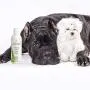 COAT DEFENSE CD Clean Pet Shampoo from All-Natural, Hypoallergenic & Concentrated | Aloe Based - Soothes and Relieves Itchy, Dry and Inflamed Skin | Safe for Everyone | 8 Ounces | Made in USA