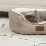 Bedsure Round Cat Bed for Indoor Cats Clearance, 20 inch Small Washable Dog Bed for Puppy and Kitties with Slip-Resistant Bottom, Plush Flannel Pet Supplies, Camel Bedsure Round Cat Bed for Indoor Cats Clearance, 20 inch Small Washable Dog Bed for Puppy and Kitties with Slip-Resistant Bottom, Plush Flannel Pet Supplies, Camel