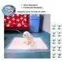Puppy Pads, 34'' x 28'' XXL-Large, Ultra Absorbent - All Day Premium Dog Pads - 42 Count by Petphabet