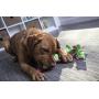 goDog, Dragons, Skinny, Squeaker Dog Toy, Chew Resistant, Durable Plush, Soft, Tough, Reinforced Seams, Green, Large
