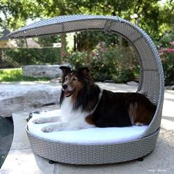 The Refined Canine Outdoor Dog Chaise Bed w/Shade Hood, Waterproof Poly Rattan Lounger with Washable Cushion