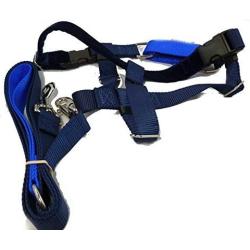 2 Hounds Design Freedom No-Pull Dog Harness with Leash, Large, 1-Inch Wide, Navy