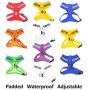 Dexil Limited Service Dog Blue Color Coded Alert Warning L XL Non Pull Dog Harness Prevents Accidents by Warning Others of Your Dog in Advance