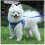 TBRAND Soft Padded Dog Vest Harness and Leash Set, No Pull Reflective Adjustable Pet Vest Harnesses for Puppy Kitten, Soft Mesh Chest Harness for Pet Kitten Puppy Rabbit