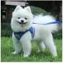 TBRAND Soft Padded Dog Vest Harness and Leash Set, No Pull Reflective Adjustable Pet Vest Harnesses for Puppy Kitten, Soft Mesh Chest Harness for Pet Kitten Puppy Rabbit TBRAND Soft Padded Dog Vest Harness and Leash Set, No Pull Reflective Adjustable Pet Vest Harnesses for Puppy Kitten, Soft Mesh Chest Harness for Pet Kitten Puppy Rabbit