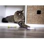 SmartyKat Catnip Cat Toys