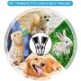 Visson Dog Clippers Washable,2in1 Dog Grooming Clippers Kit for Small Medium Dogs and Cats Hair Around Face, Paws, Eyes, Ears, Rump,Dog Trimmer Clippers Cordless,Low Noise Dog Shaver USB Rechargeable