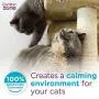 Comfort Zone Multicat Calming Diffuser Refill, 48 ml- 6 Pack, 180 Day Use 6 pack Comfort Zone Multicat Calming Diffuser Refill, 48 ml- 6 Pack, 180 Day Use 6 pack