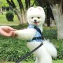 VILLCASE Dog Vest Harness and Leash Set for Walking Escape Proof Small Cat and Dog Harness Breathable Pet Pulling Strap with Reflective Strap Comfort Fit for Pet Kitten Puppy Rabbit (Blue, Size XS)