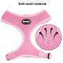 BINGPET Small Dog Harness and Leash - Soft Puppy Vest for Cat, Pink